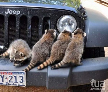 ������� � ������������ ����� �����������! - ����, ��������