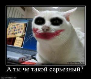 Размещенное изображение