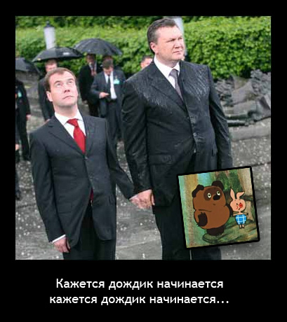 431966.jpg