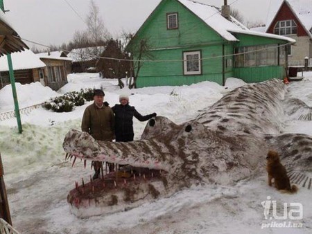 Картинка дня