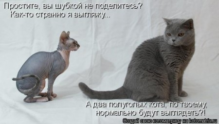 Размещенное изображение