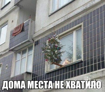 Картинка дня