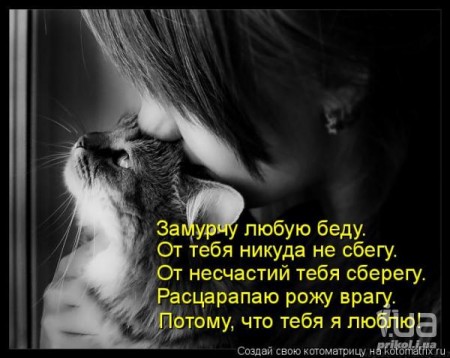 ����� � �������. - ��������, ����