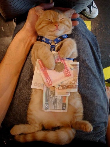 Размещенное изображение