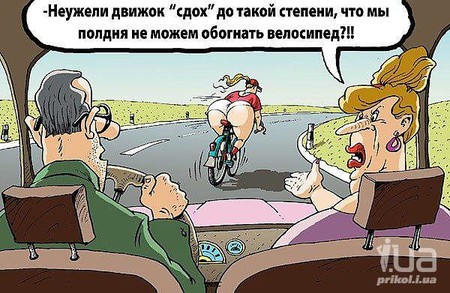 Картинка дня