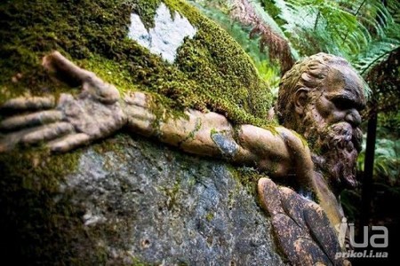 ���������� ������������ ���� ������ - ���, ����������