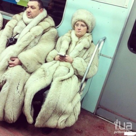 Картинка дня
