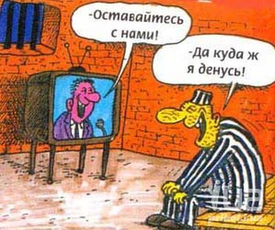 Картинка дня