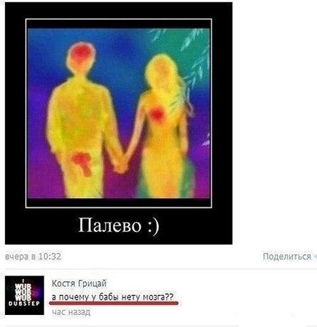 Картинка дня