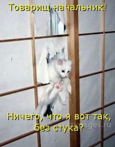 смотреть темный лес