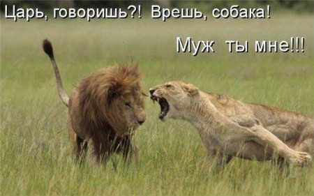 http://i1.i.ua/prikol/thumb/9/9/315699.jpg