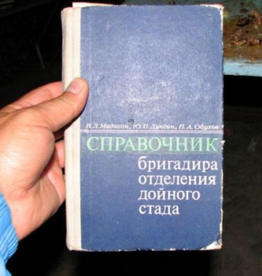 368411