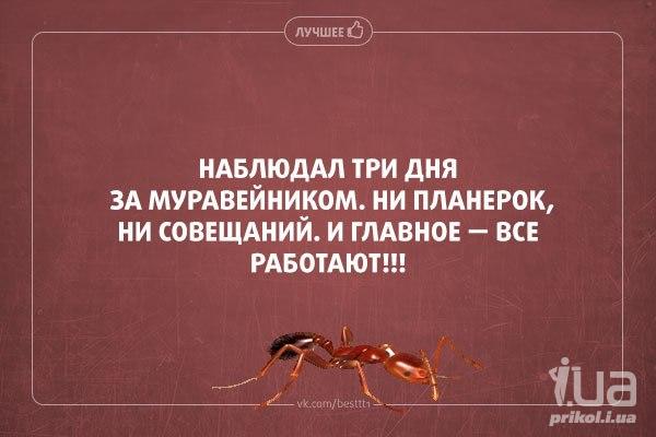 Прикольные картинки про планерку на работе