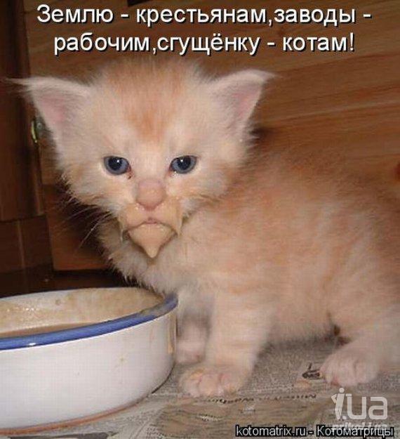 567422 538184