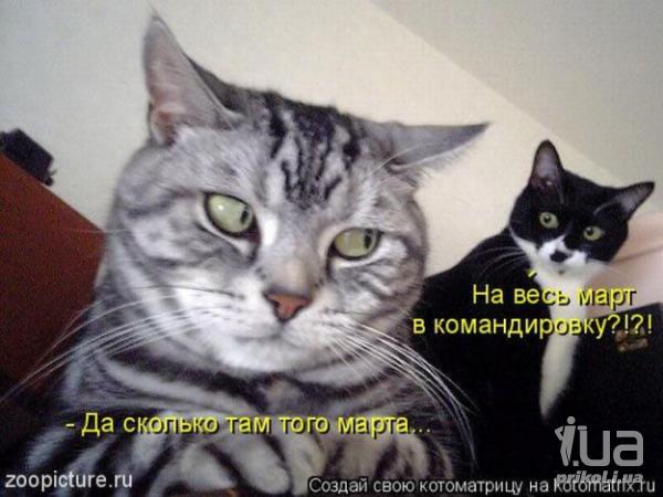 567422 538189