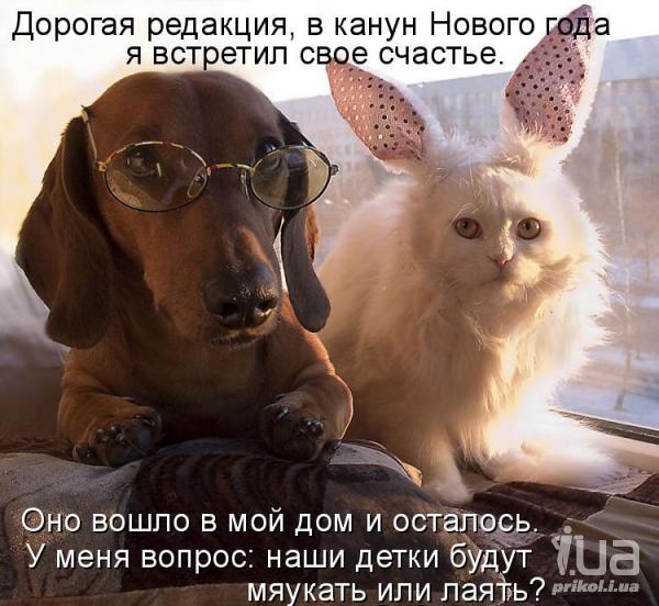 724822 816100