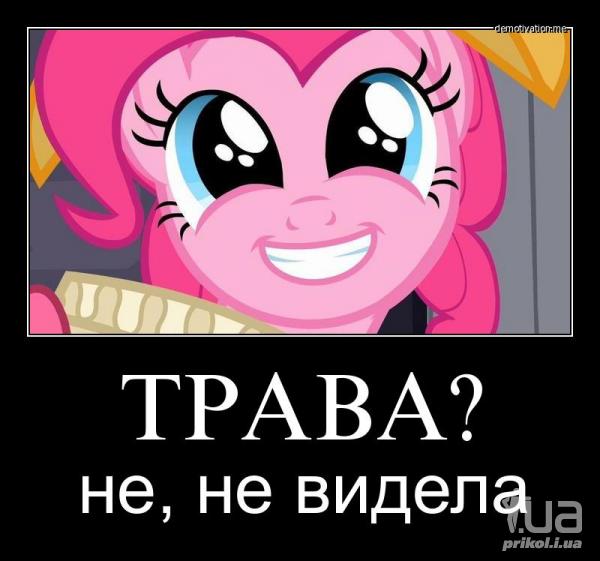 839822 1077247