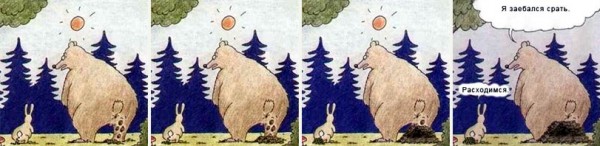 Картинки медведь и заяц приколы, каменогорск открытки