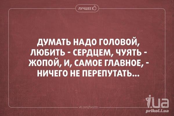 Думай головой. Думать надо головой любить сердцем чуять. Думать надо головой. Думать надо думать.