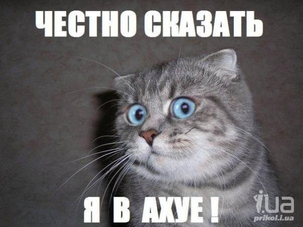 1035833 1502319