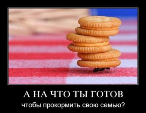 427333 411382