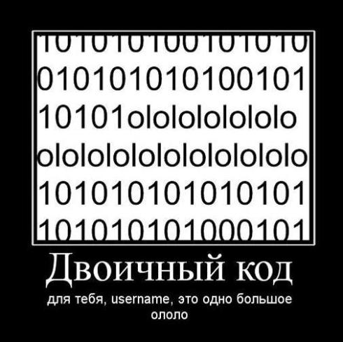427333 411386