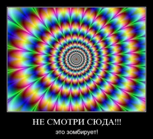427333 411387