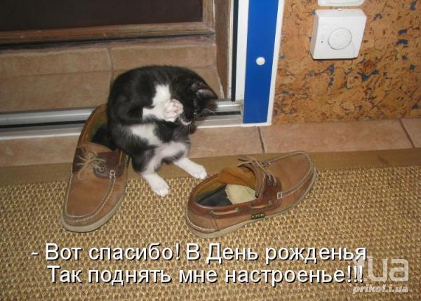 672733 714359