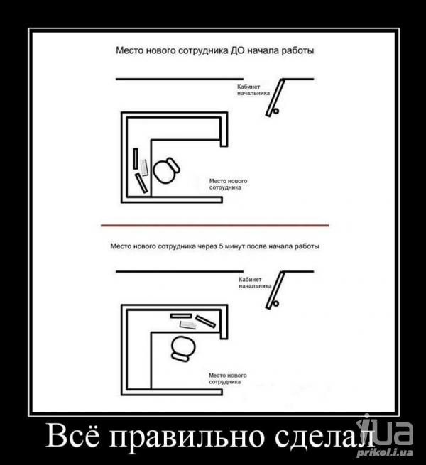 680333 733101