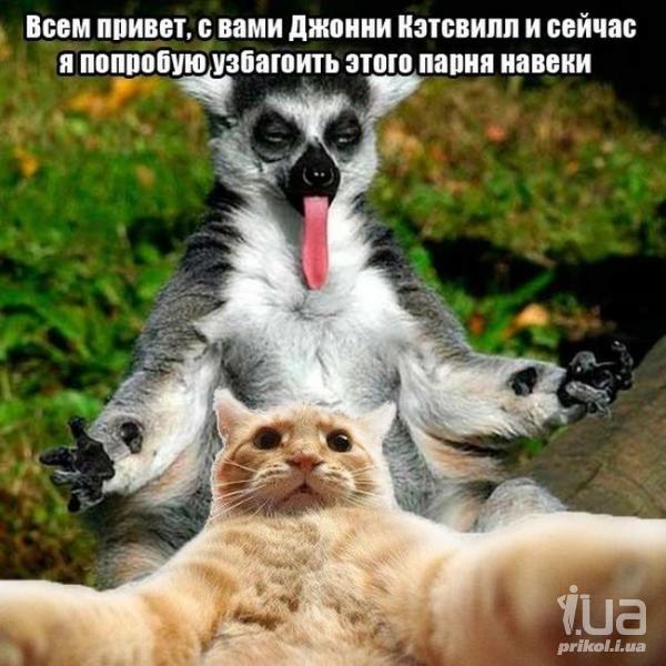 965533 1362038