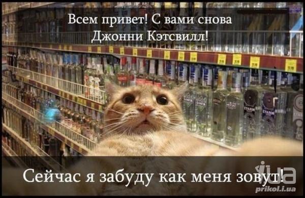 965533 1362050