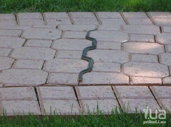 Мастера маскировки)