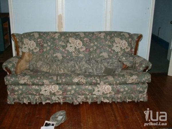 Мастера маскировки)