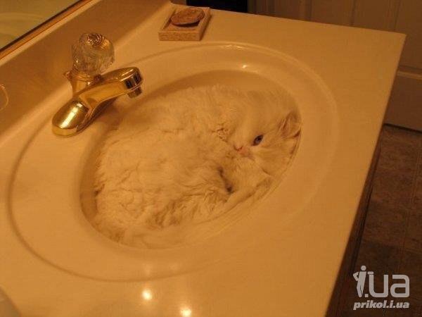 Мастера маскировки)