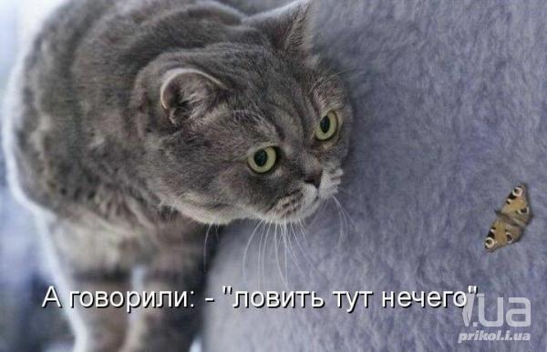 672244 713319