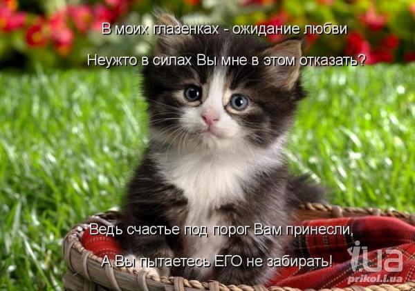 741544 849801