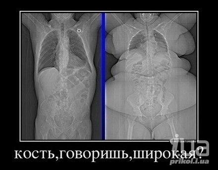 772544 920506