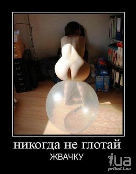 772544 920509