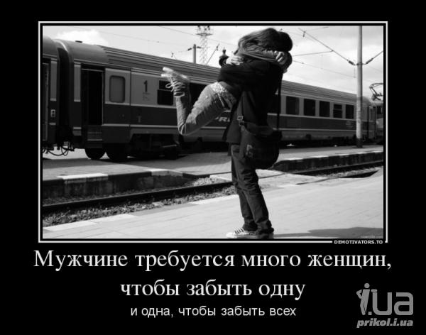 807044 993928