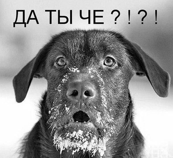 871844 1167159
