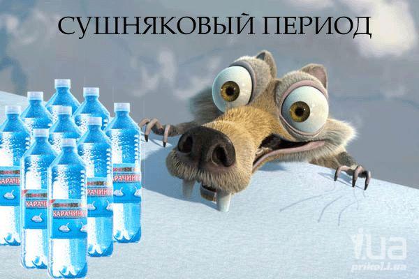 615255 582953