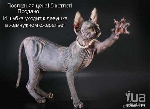 629355 616682
