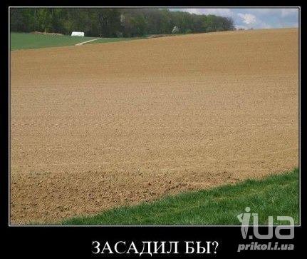 855555 1121752