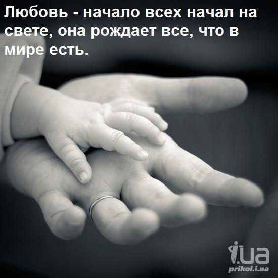 914955 1266338
