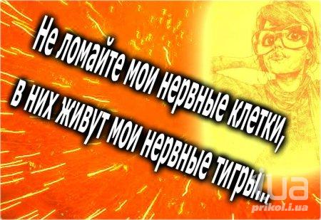 979655 1387160