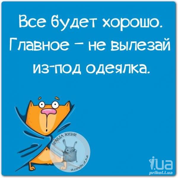 Приколи - картинки, відео приколи, смішні історії та анекдоти