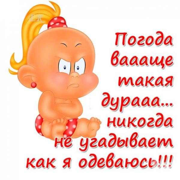 Открытки о погоде смешные