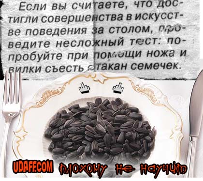 358566 344213