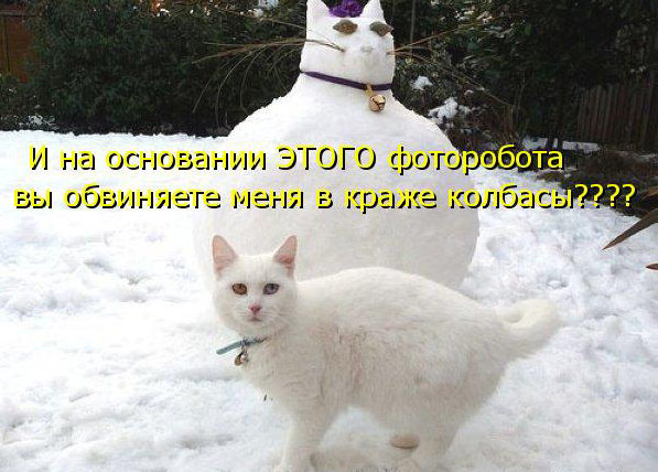 456866 439811