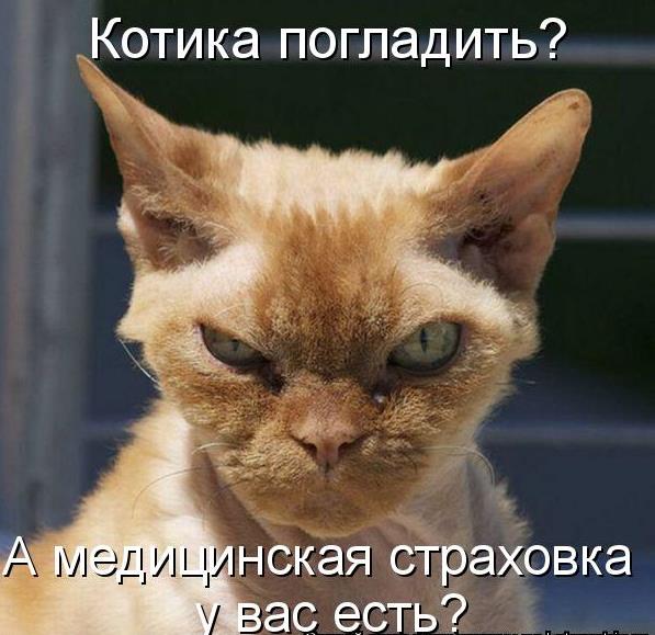 456866 439814